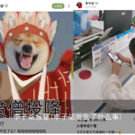 李子柒报警(李子柒发生了什么事)