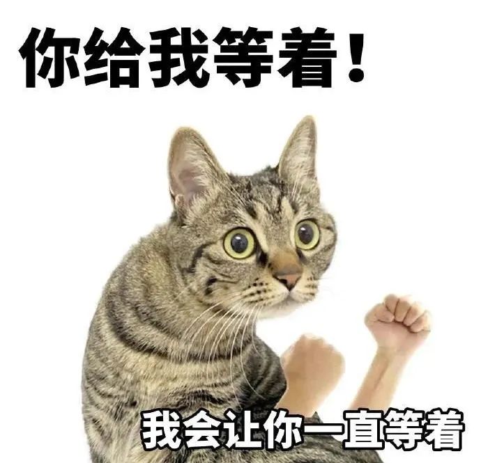 呆妹儿千万粉丝直播竟只有2千人在线观看,网友称其可以退播结婚了,其称结婚要分一半财产出去,目前不愿意!